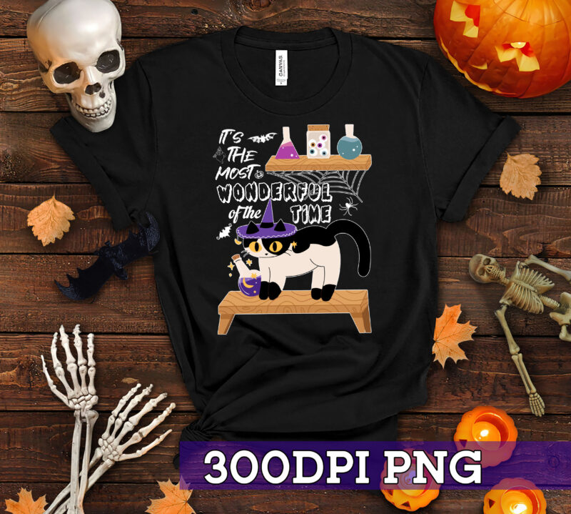 RD It_s the Most Wonderful Time of the Year black cat Halloween T-Shirt