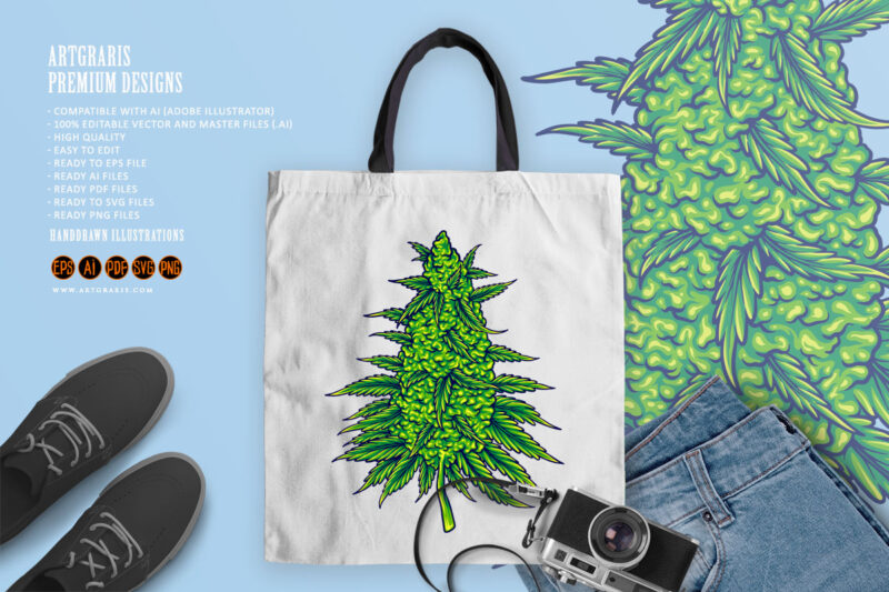 Cannabis sativa strains botanical hemp buds illustrations