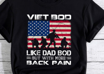 Vet Bod Like Dad Bod But With More Back Pain Veterans Day PC