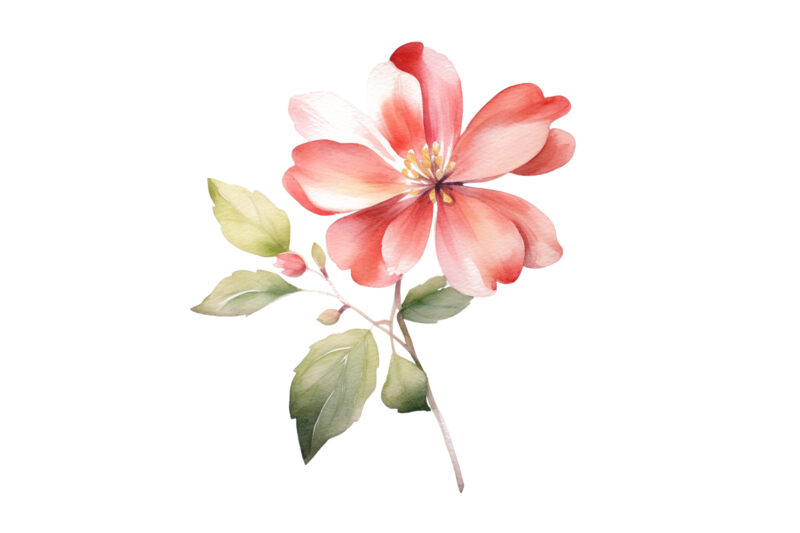 flower with leaf watercolor painting