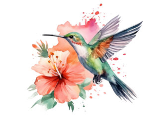 Hummingbird Flower Watercolor Clipart graphic t shirt