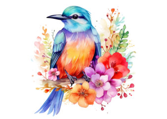 Flower Bird Watercolor Clipart
