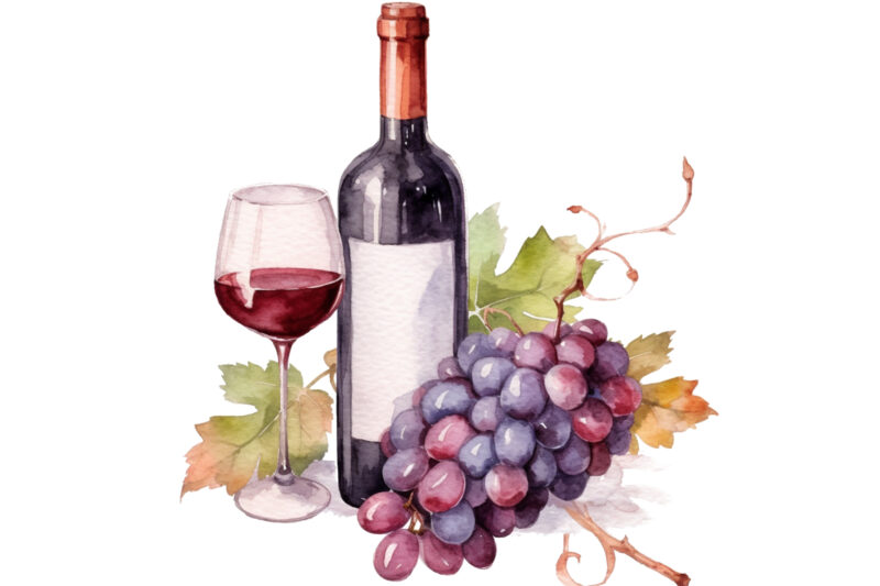 Wine and Grapes Watercolor Clipart