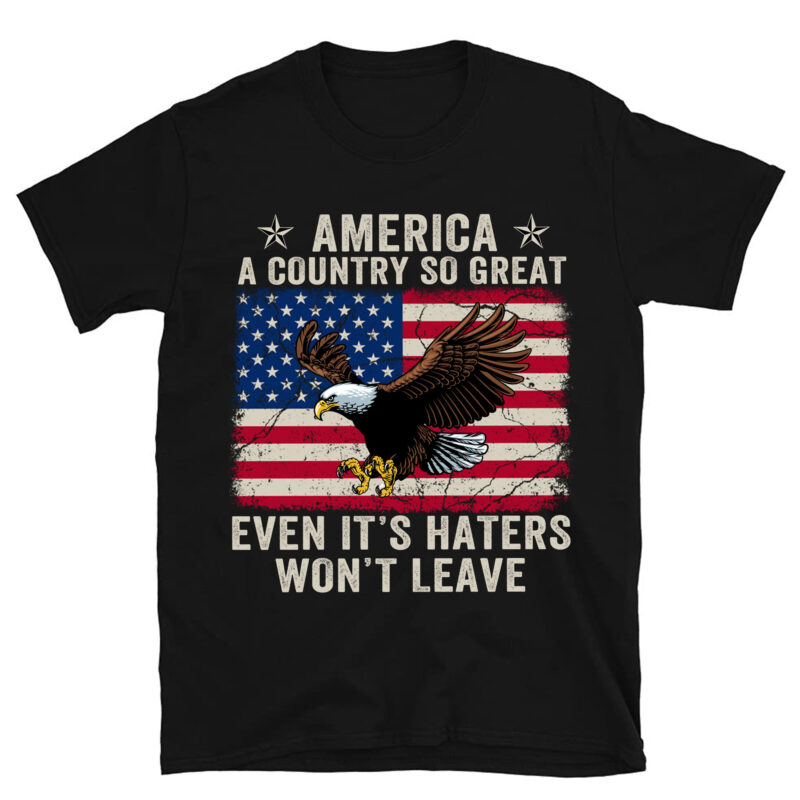 America a country so great even it_s Haters won_t leave PC