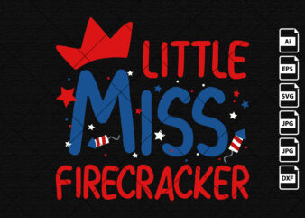 Little miss firecracker 4th of July American independence day US birthday shirt print template t shirt vector graphic