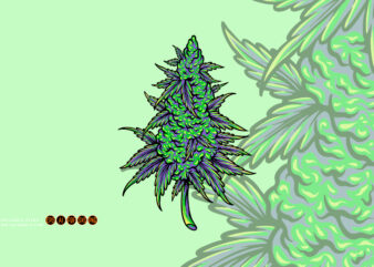 Cannabis sativa bud medicinal hemp plant illustrations