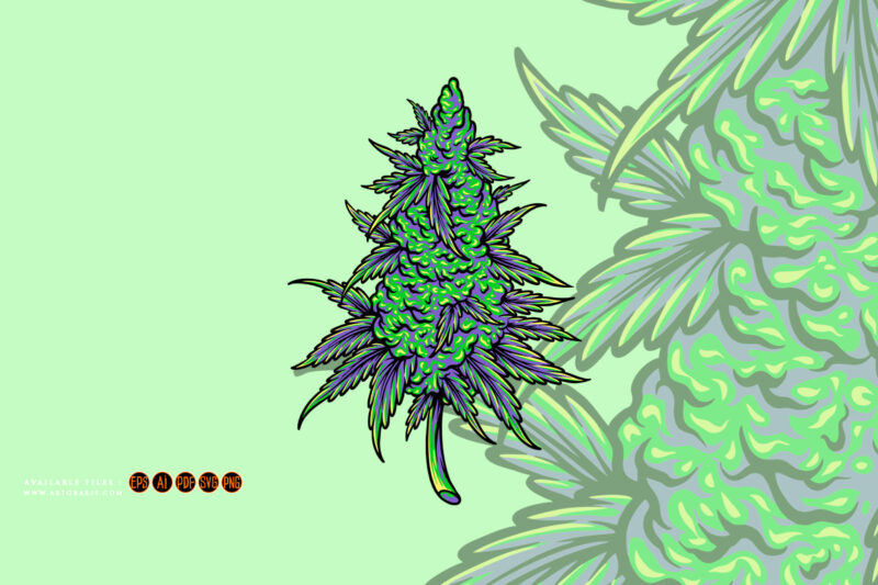 Cannabis sativa bud medicinal hemp plant illustrations