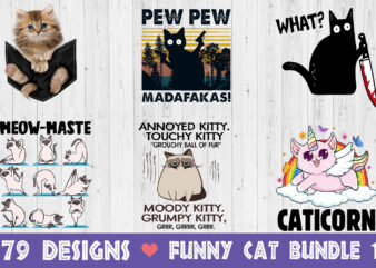 Funny Cat Bundle 1 design bundle – 79 designs