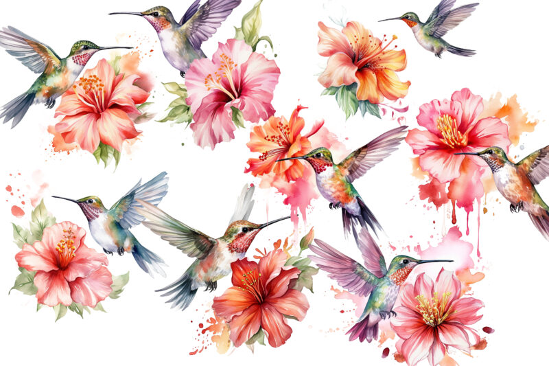 Hummingbird, Tropical bird, Watercolor flower, Wildlife, Clip art, Painting, Art, Tropical, Colourful, Print, Drawing, Decoration, Pink, Isolated illustration, Beauty, Composition, Collection, Greeting, Multicolor, Lovely, Lettering, Scrapbooking, Wedding, Flying, Graphic, Jungle,