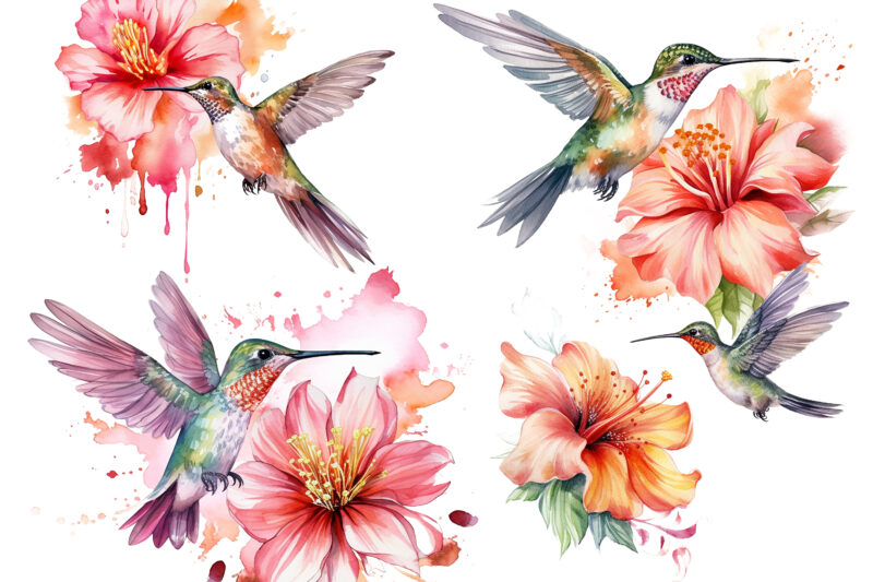 Hummingbird, Tropical bird, Watercolor flower, Wildlife, Clip art, Painting, Art, Tropical, Colourful, Print, Drawing, Decoration, Pink, Isolated illustration, Beauty, Composition, Collection, Greeting, Multicolor, Lovely, Lettering, Scrapbooking, Wedding, Flying, Graphic, Jungle,