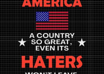 America A Country So Great Even It’s Haters Won’t Leave Svg, America Flag Svg, 4th Of July Svg, Flag 4th Of July Svg t shirt vector