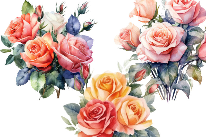 Bouquet of Roses Watercolor Clipart