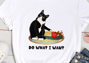 Funny Black Cat I Do What I Want Cat Lover Gifts PC
