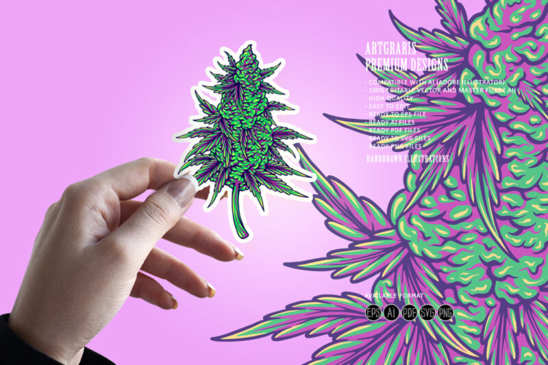 Botanical style cannabis indica flower bud