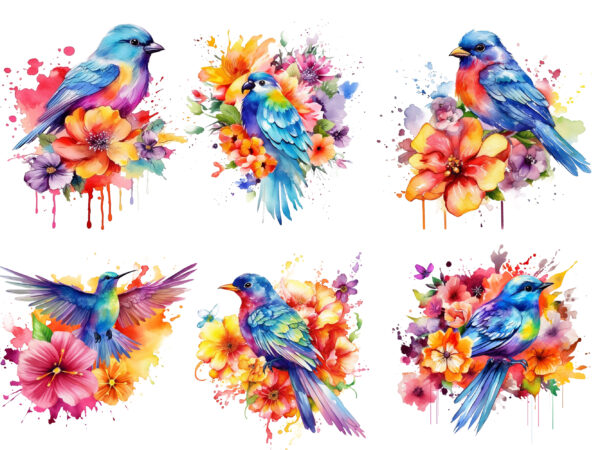 Rainbow flower bird watercolor clipart t shirt design online