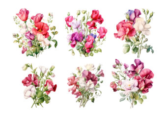 Sweet Pea and Roses Flower Clipart