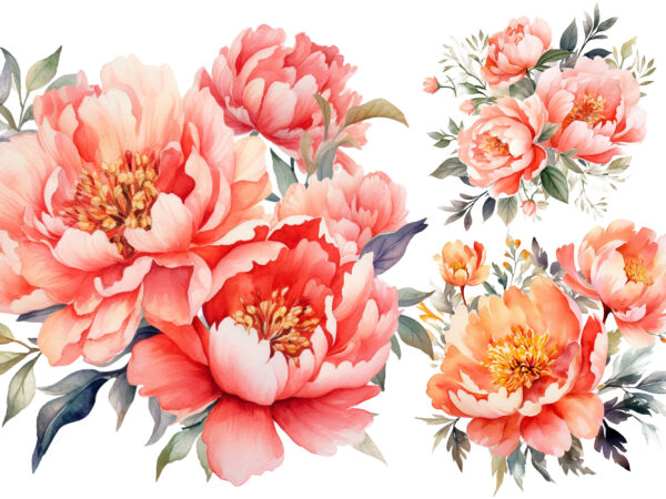Watercolor coral peonies flower clipart t shirt design for sale