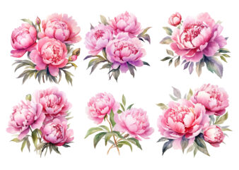 Watercolor Soft Pink Peonies Clipart t shirt design for sale