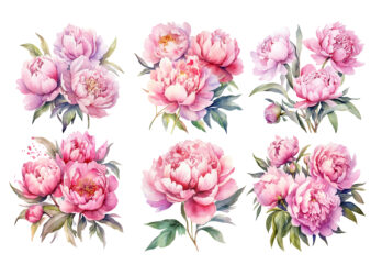 Watercolor Soft Pink Peonies Clipart