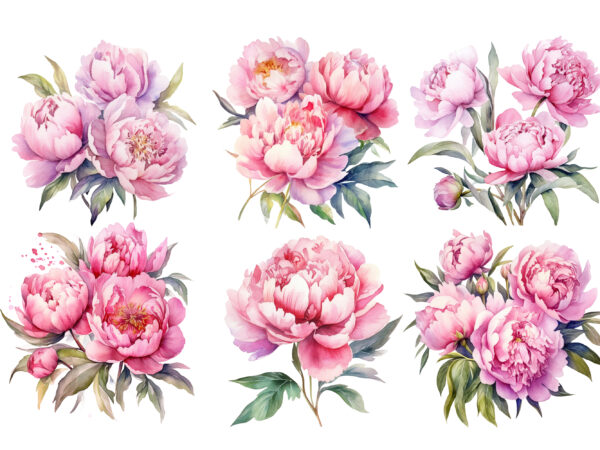 Watercolor soft pink peonies clipart t shirt design for sale