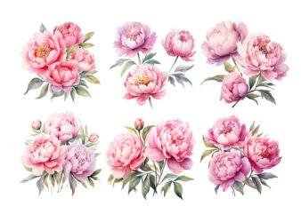 Watercolor Soft Pink Peonies Clipart t shirt design for sale