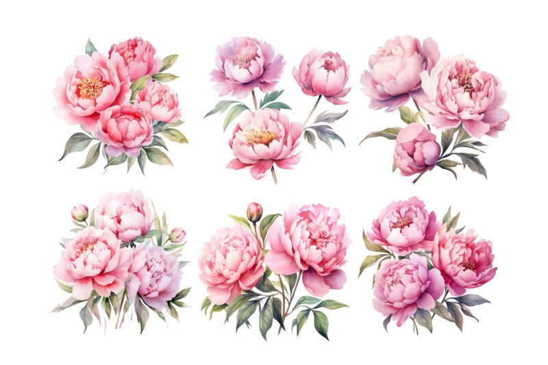 Watercolor Soft Pink Peonies Clipart