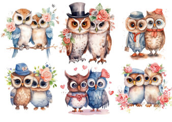 Cute Couple Owl with flower Watercolor Clipart