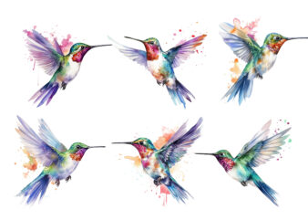 Fairy Hummingbird Watercolor Clipart