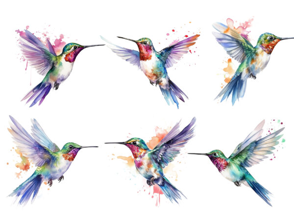 Fairy hummingbird watercolor clipart t shirt graphic design