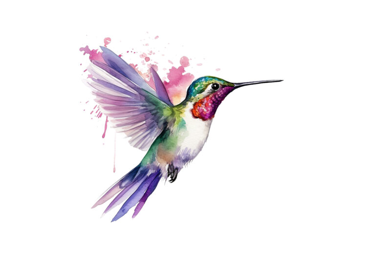 Fairy Hummingbird Watercolor Clipart