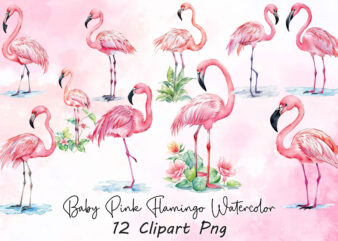 Baby Pink Flamingo Watercolor Clipart t shirt template