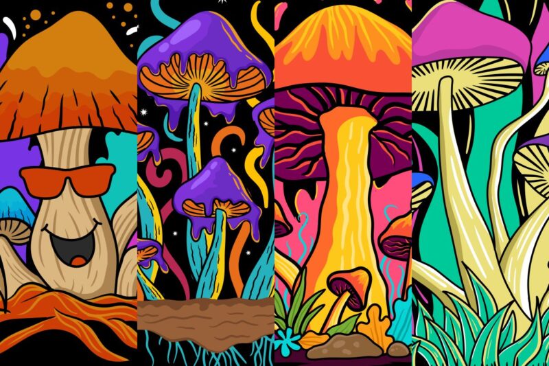 Mushroom Fantasy Art Illustration PNG T-shirt Designs Bundle