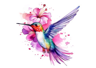Fairy Hummingbird Watercolor Clipart png t shirt graphic design