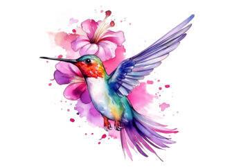 Fairy Hummingbird Watercolor Clipart png