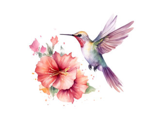 Fairy Hummingbird t shirt graphic design