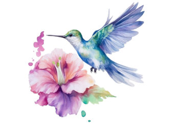 Fairy Hummingbird with flower Watercolor Clipart