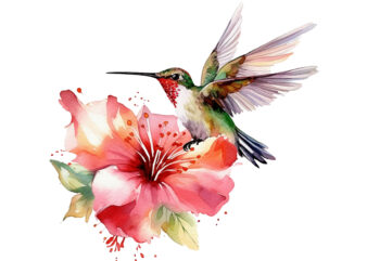 Fairy Hummingbird with flower Watercolor Clipart t shirt graphic design