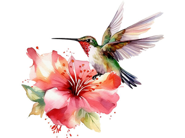 Fairy hummingbird with flower watercolor clipart t shirt graphic design