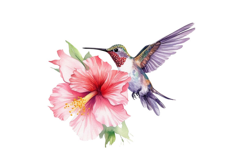 Fairy Hummingbird Watercolor Clipart