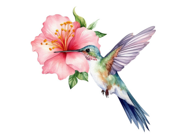 Fairy hummingbird watercolor clipart t shirt graphic design