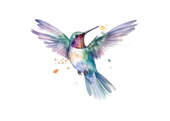 Hummingbird Watercolor Clipart