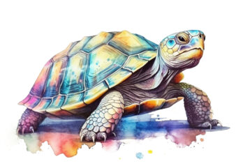 Pastel Turtle Watercolor Illustration