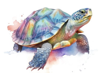Pastel Turtle Watercolor Illustration