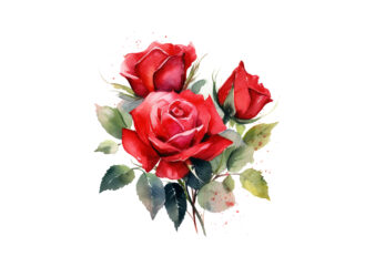 Red Roses Bouquet Watercolor Clipart