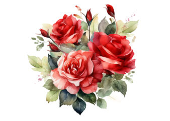 Red Roses Bouquet Watercolor Clipart