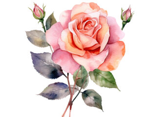 Rose Flower Watercolor clipart t shirt design online