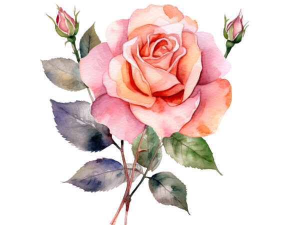 Rose flower watercolor clipart t shirt design online