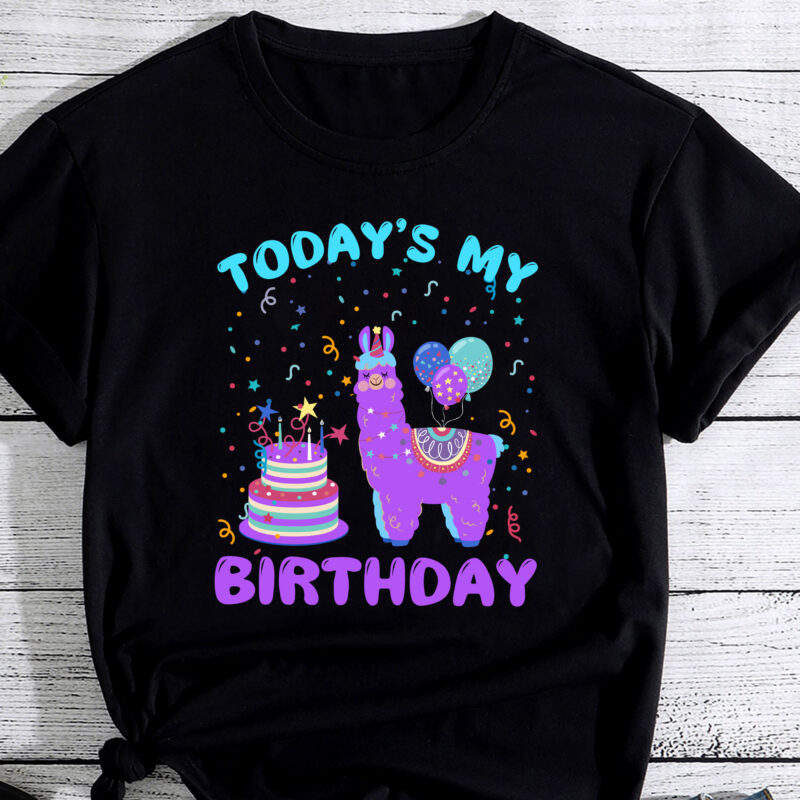 Todays My Birthday Llama Birthday Party Decorations Boys PC