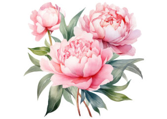 Watercolor Soft Pink Peonies Clipart t shirt design for sale