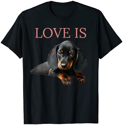 15 Dachshund Shirt Designs Bundle For Commercial Use Part 5, Dachshund T-shirt, Dachshund png file, Dachshund digital file, Dachshund gift, Dachshund download, Dachshund design